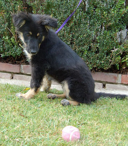 Maxine von Hirsch sitting 2 small